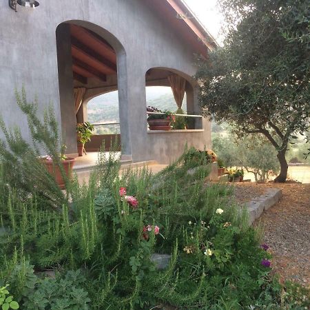 Villa S'Umbra De S'Ozzastru Orgosolo Exterior foto