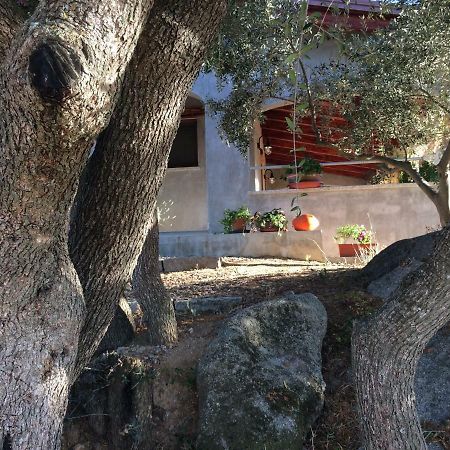 Villa S'Umbra De S'Ozzastru Orgosolo Exterior foto