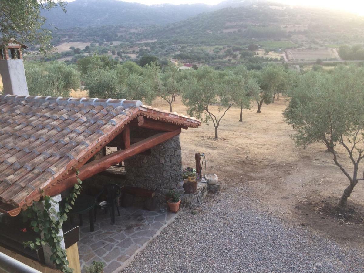 Villa S'Umbra De S'Ozzastru Orgosolo Exterior foto