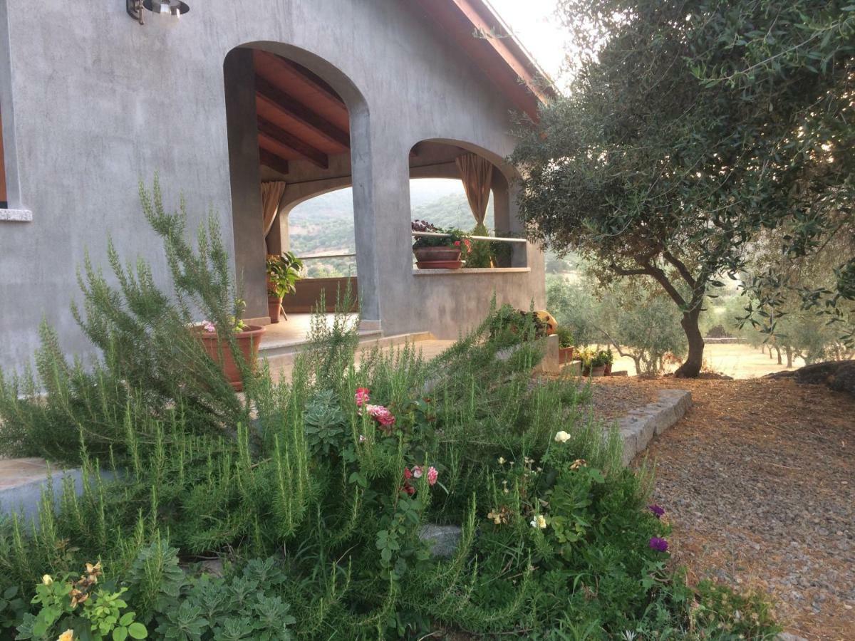 Villa S'Umbra De S'Ozzastru Orgosolo Exterior foto