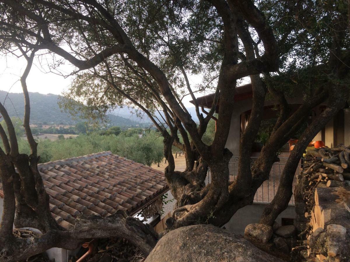 Villa S'Umbra De S'Ozzastru Orgosolo Exterior foto