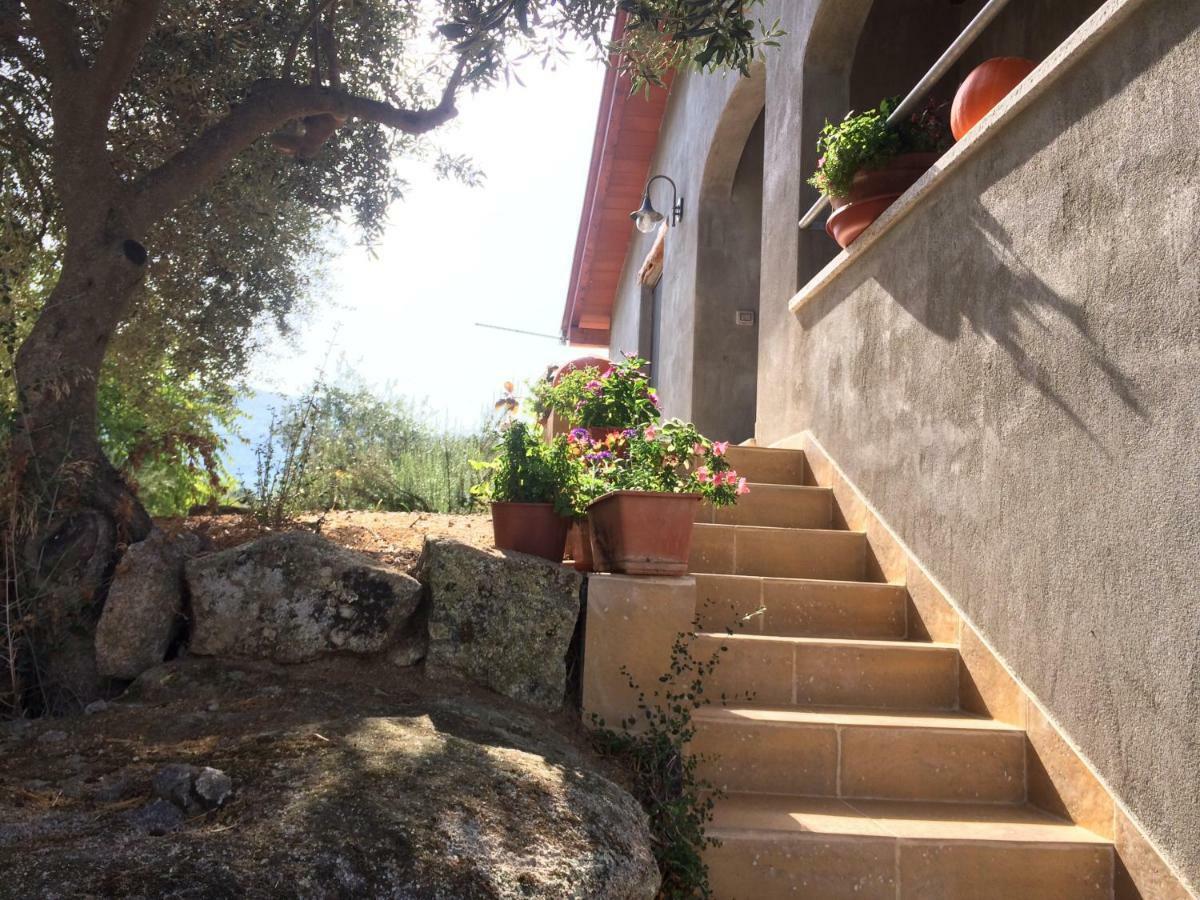 Villa S'Umbra De S'Ozzastru Orgosolo Exterior foto