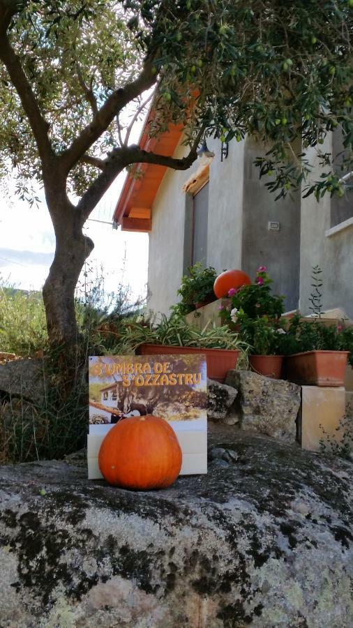 Villa S'Umbra De S'Ozzastru Orgosolo Exterior foto