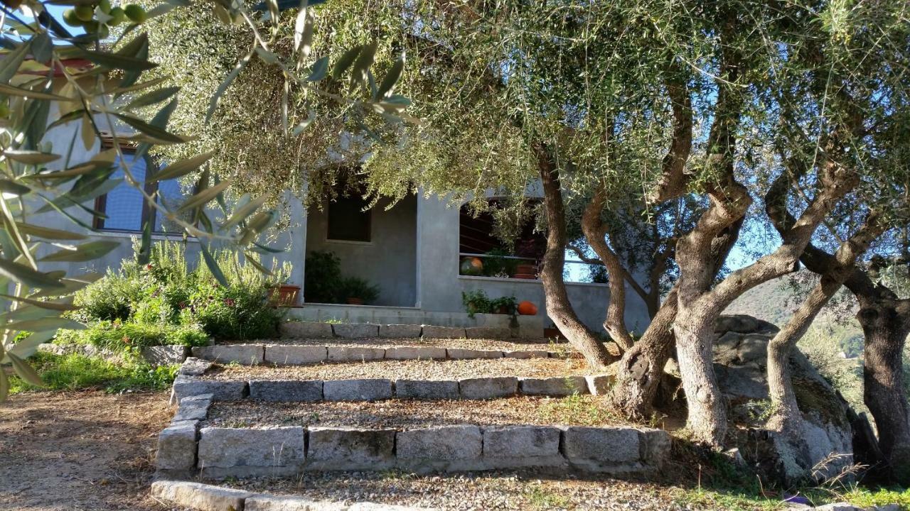 Villa S'Umbra De S'Ozzastru Orgosolo Exterior foto