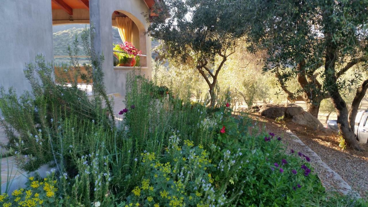 Villa S'Umbra De S'Ozzastru Orgosolo Exterior foto
